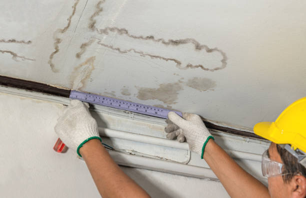 Reliable Mold Remediation contractor in North Scituate, RI by Local Water Damage Repair